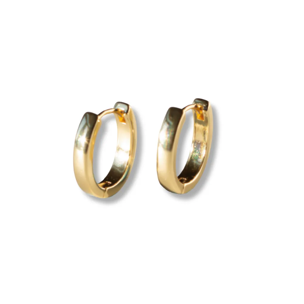 LENNY & EVA GILDED OVAL HOOPS